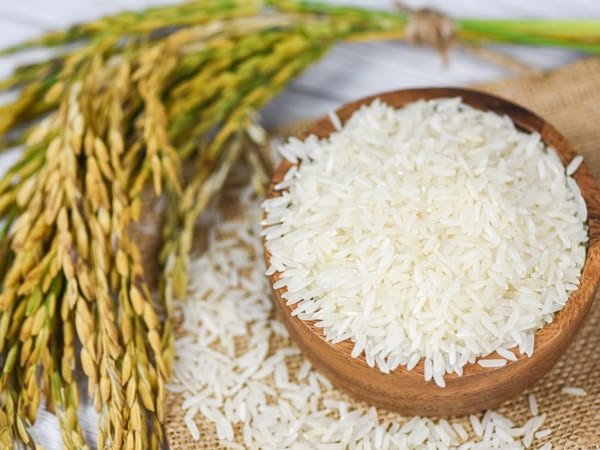 Sella Basmati rice export